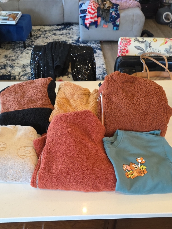 SHEIN Sweaters - SHEIN Plush Sherpa Crewneck Sweaters in Rust, Peach & Teal